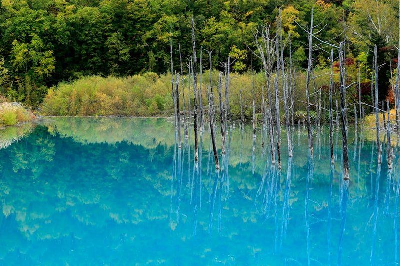 Blue Pond in Biei Hokkaido with reflected trees