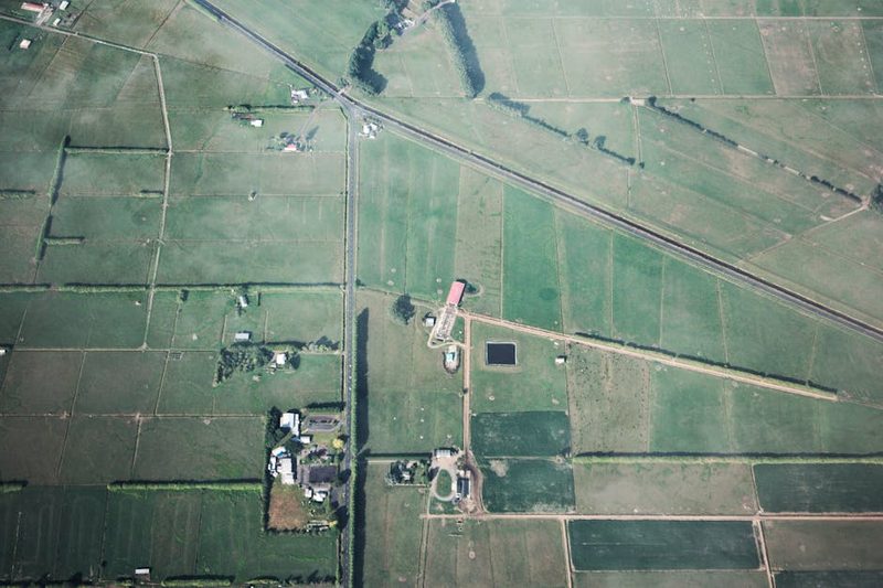 Tree-lined Patchwork Road in Biei with rolling farmland