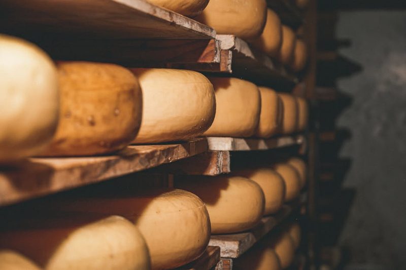 Cheese wheels aging on wooden shelves at Furano Cheese Factory