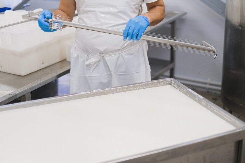 Hands-on cheese making workshop with fresh dairy products