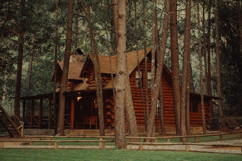 Cozy log cabin cafe surrounded by trees