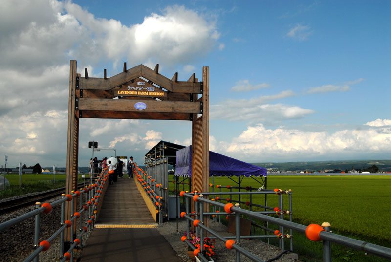 Seasonal Lavender Farm train station near Farm Tomita in Nakafurano