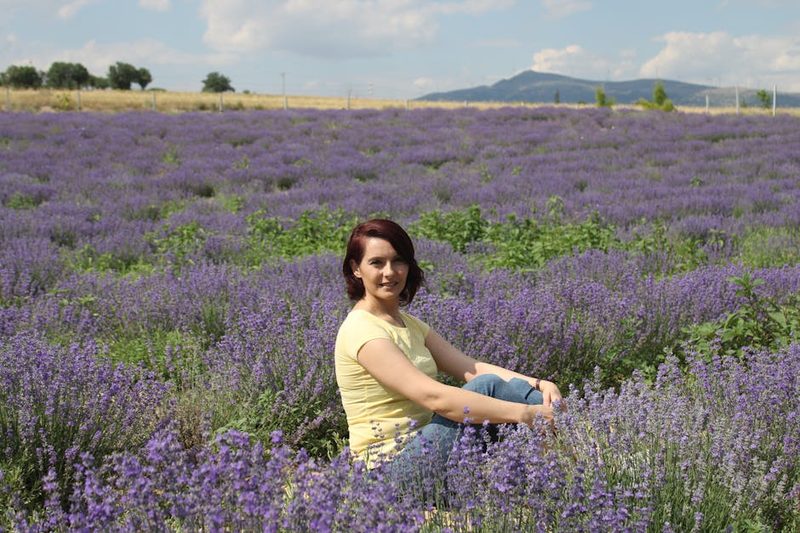 Free lavender field scenery in Furano
