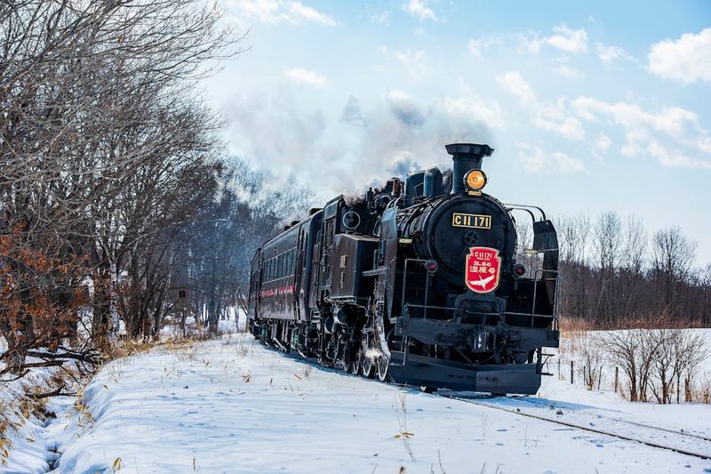 Local train at a rural Hokkaido station