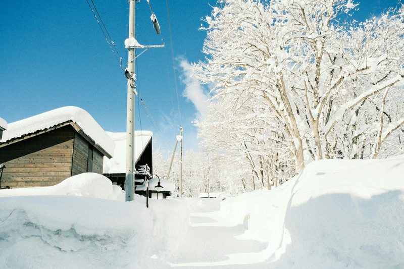 Snow-covered trees and houses in a Japanese rural area during winter