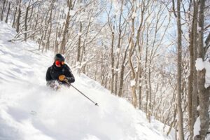 Skier navigating fresh powder snow through trees in Japan