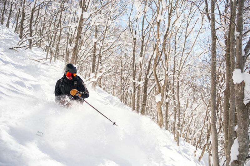 Skier navigating fresh powder snow through trees in Japan