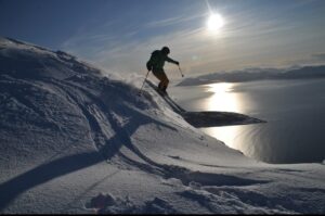 Skier descending a powder-covered mountain slope in Hokkaido