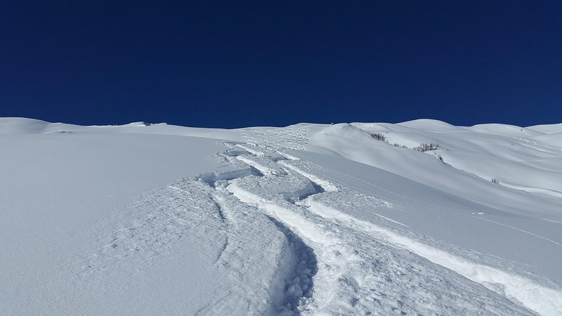 Skier carving through deep powder snow on a mountain