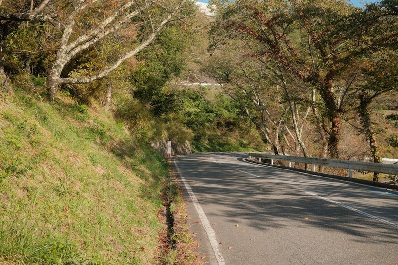 Scenic winding road through colorful autumn foliage in Nagano Japan