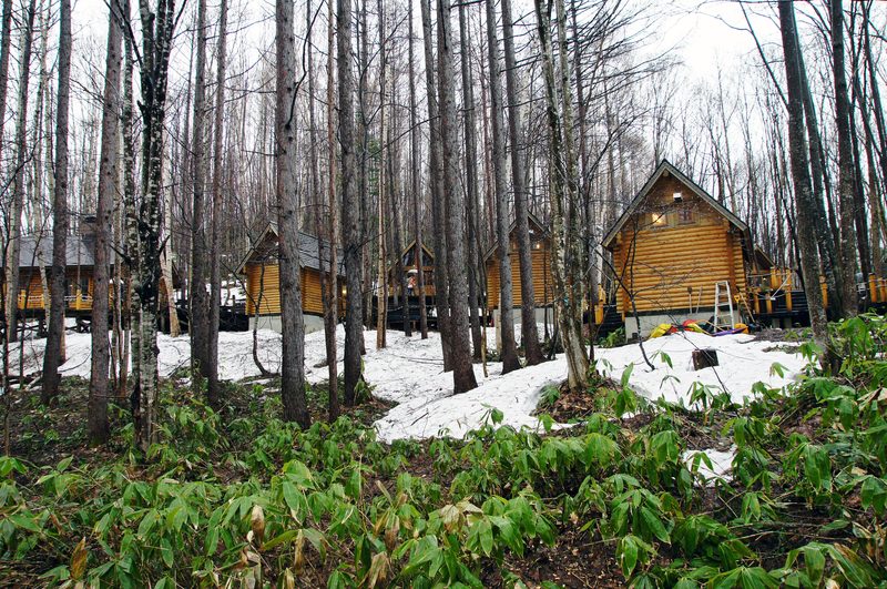 Wooden boardwalk winding through forest with log cabin craft shops at Ningle Terrace, Furano