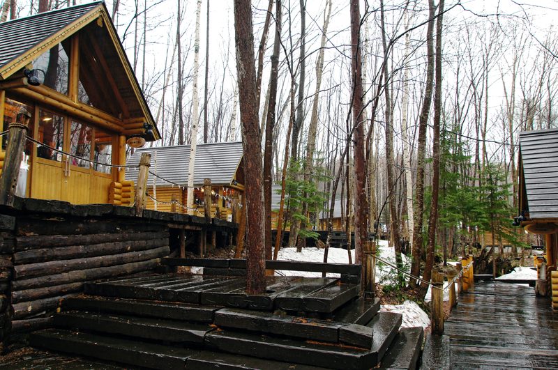 Log cabin artisan shops nestled among trees at Ningle Terrace in Furano, Hokkaido