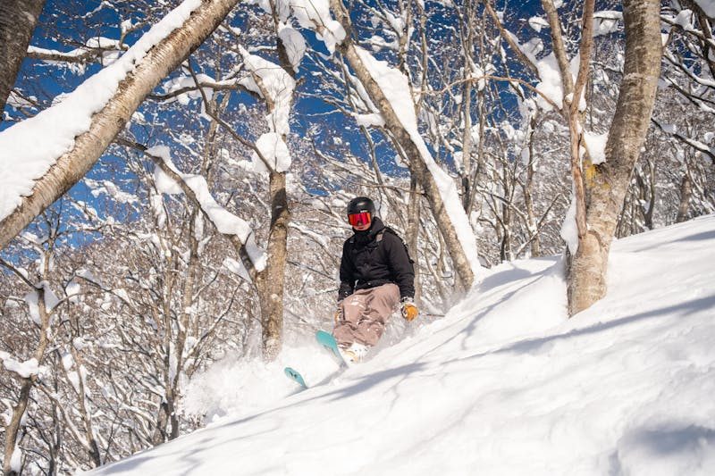Skier carving through fresh powder snow on a Japanese mountain
