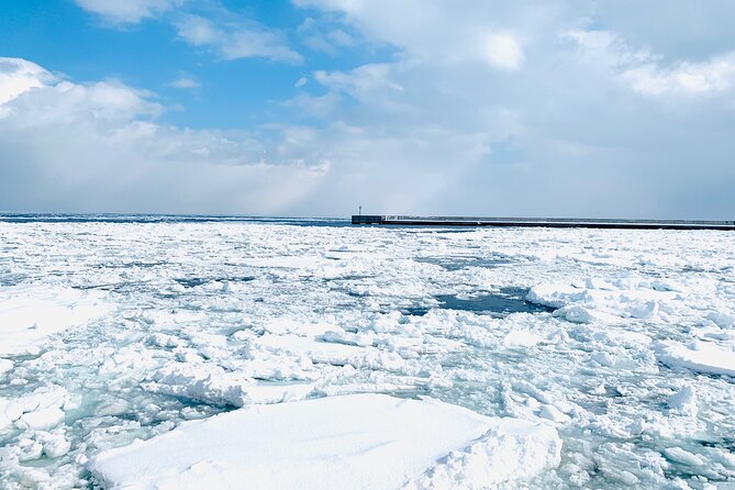 2 Day Tour to Icebreaker Mombetsu and Asahiyama Zoo in Hokkaido - Seals, conservation, and a second wildlife stop