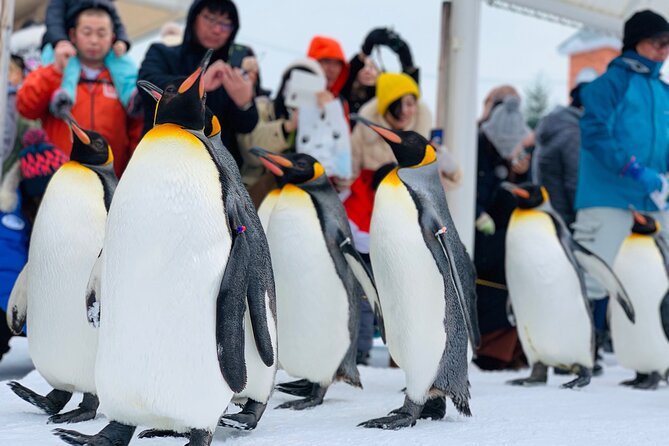 2 Day Tour to Icebreaker Mombetsu and Asahiyama Zoo in Hokkaido - Day one: penguins, active animals, and Asahikawa sake