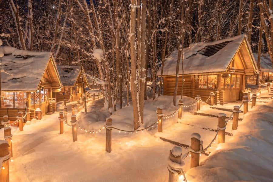 From Sapporo: Biei, Furano or Asahikawa Private Day Tour - A full day from Sapporo to Hokkaido’s countryside