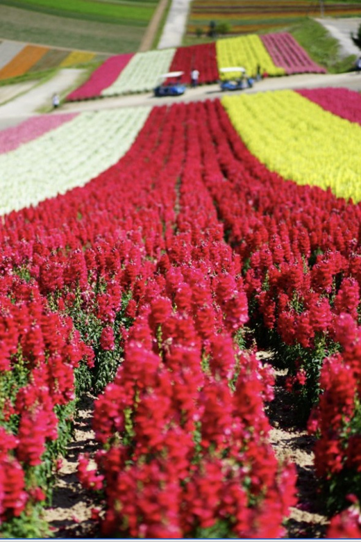From Sapporo : Hokkaido Furano Tomita Farm Joiner Tour - Making a Brief Visit to Farm Tomita