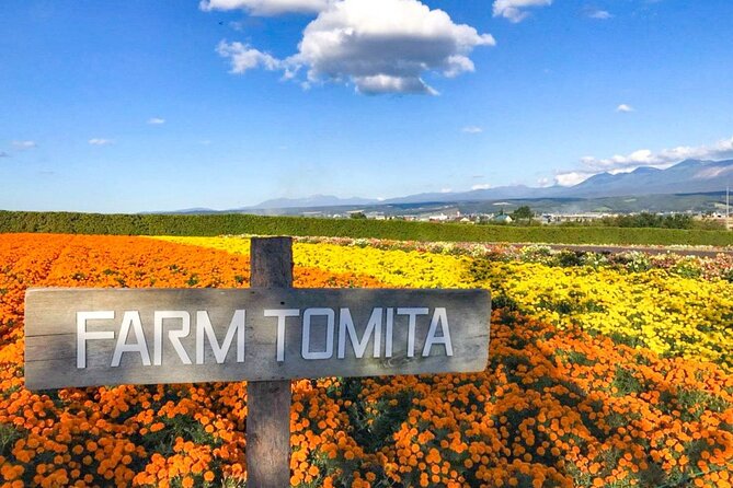 Furano & Biei 4 hour Tour: English Speaking Driver only, No Guide - Zerubunoka Atomunooka and Biei’s open views