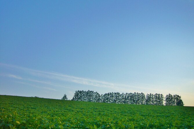 Furano Biei Tour Sapporo DEP: English Speaking Driver, No Guide - Ningle Terrace and Furano’s handmade side