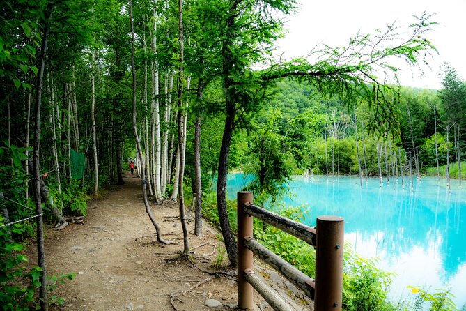Furano Biei Tour Sapporo DEP: English Speaking Driver, No Guide - Blue Pond and Shirahige Falls in Biei