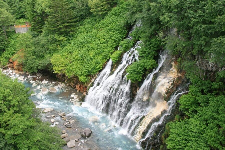 Hokkaido Asahiyama Zoo& Biei Blue pond Tour with Local Guide - Who will enjoy this Hokkaido outing