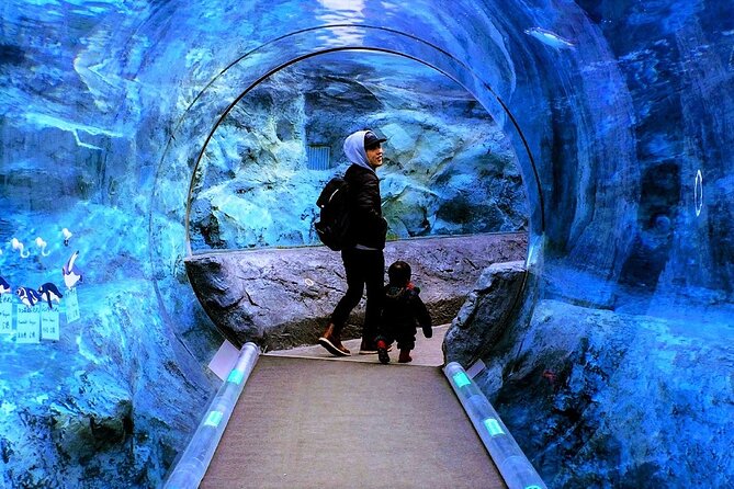 Hokkaido Asahiyama Zoo, Furano and Biei Bus Tour - The compromises you need to accept