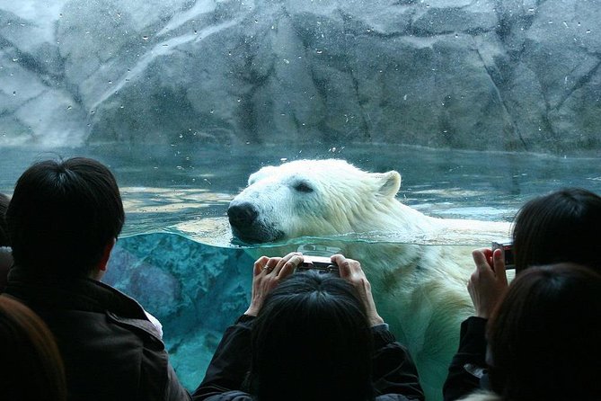 Hokkaido Asahiyama Zoo, Furano and Biei Bus Tour - Shirogane Blue Pond in a tight half hour