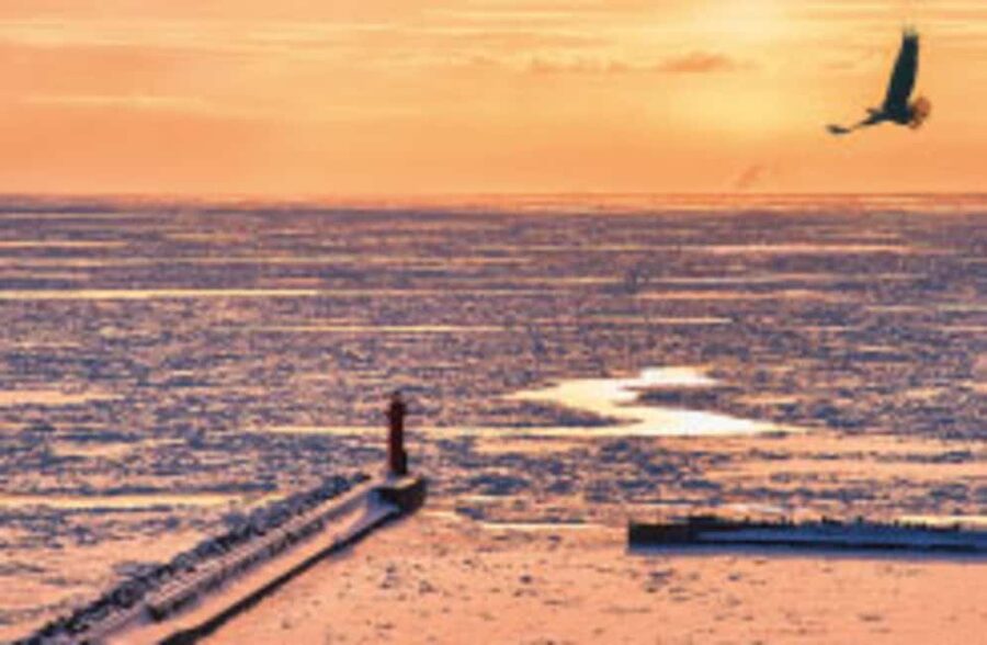 Hokkaido Asahiyama Zoo, Icebreaker GARINKO GO Sunset Tour - Two short secret stops on the return
