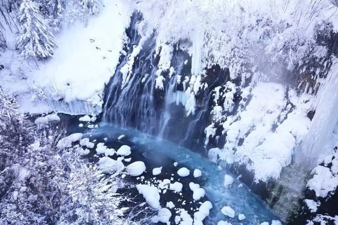 Hokkaido Day Tour from Sapporo: Asahiyama Zoo, Blue Pond Japan - Ningle Terrace in the Furano woods