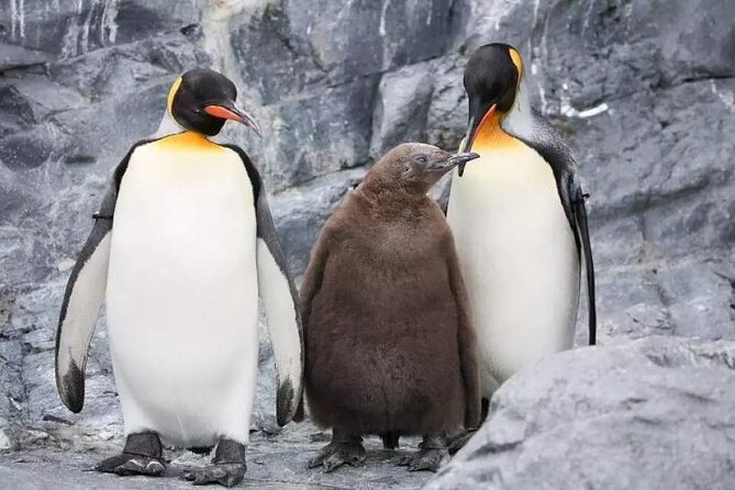 Hokkaido Day Tour from Sapporo: Asahiyama Zoo, Blue Pond Japan - The brief stop at Iwamizawa