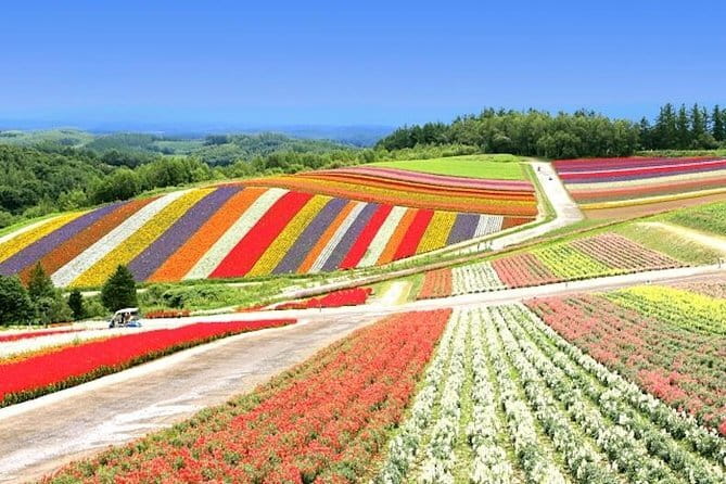 Hokkaido Day Trip From Sapporo: Asahiyama Zoo to Ningle Terrace - Ningle Terrace: handmade goods in a forest setting