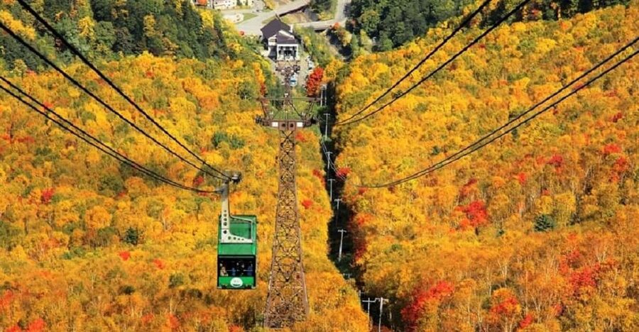 Hokkaido│Kurodake Ropeway, Asahiyama Zoo Autumn Leaves Tour - Key points to know before booking