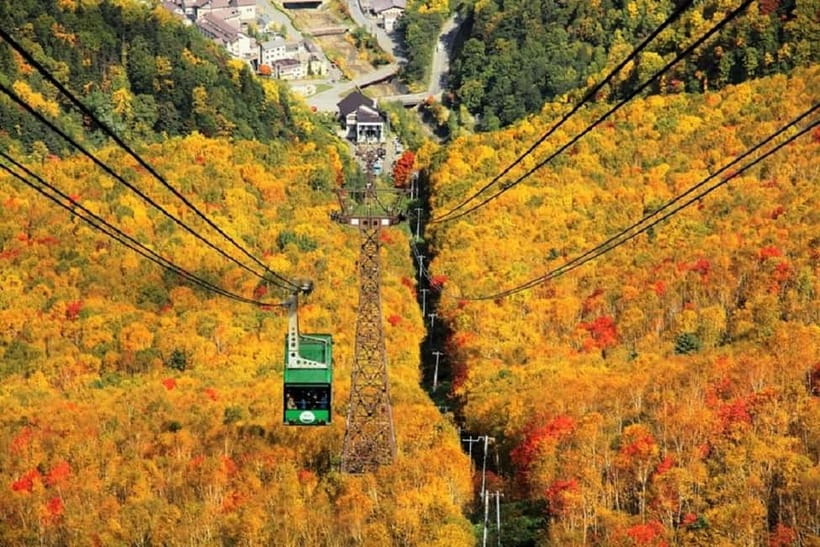 Hokkaido│Kurodake Ropeway, Asahiyama Zoo Autumn Leaves Tour - The three-hour ride to Daisetsuzan Sounkyo