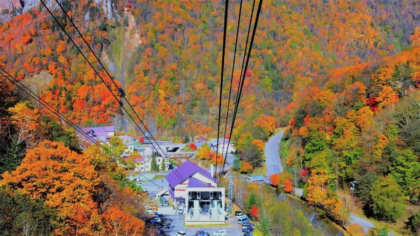 Hokkaido│Kurodake Ropeway, Asahiyama Zoo Autumn Leaves Tour - Meeting the bus at ANA Crowne Plaza Sapporo