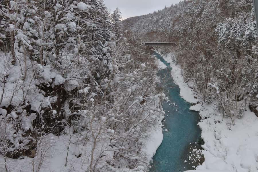 Hokkaido Lavender farm & Furano Flower Tour from Sapporo - Lunch in Furano and the meal choice