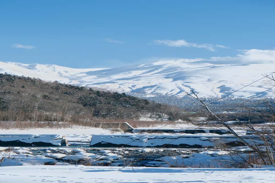 Hokkaido Lavender farm & Furano Flower Tour from Sapporo - Ningle Terrace from October 1 through October 15