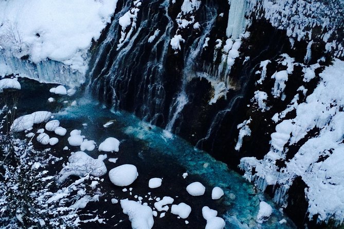 【Private Car】Asahiyama Zoo, Blue Pond, Shirahige Falls, Ningle Terrace (from Sapporo) - A long northern day made easy by private transport