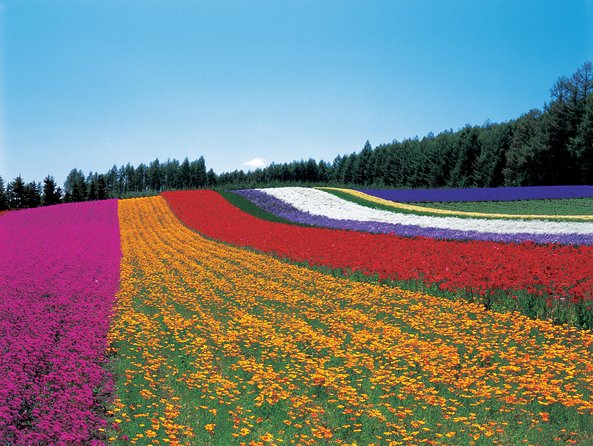 Private Car Tour of Furano and Biei in Hokkaido with Local Guide - Shirahige Falls and blue water below