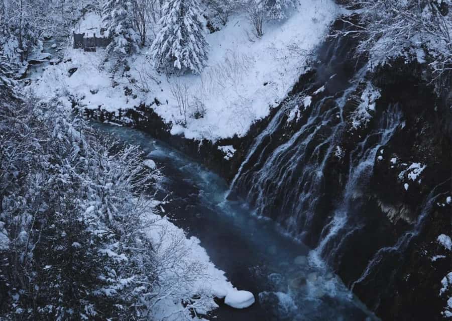 Sapporo: Furano Lavender & Biei Blue Pond Tour with Lunch - What to expect from the driver-guide