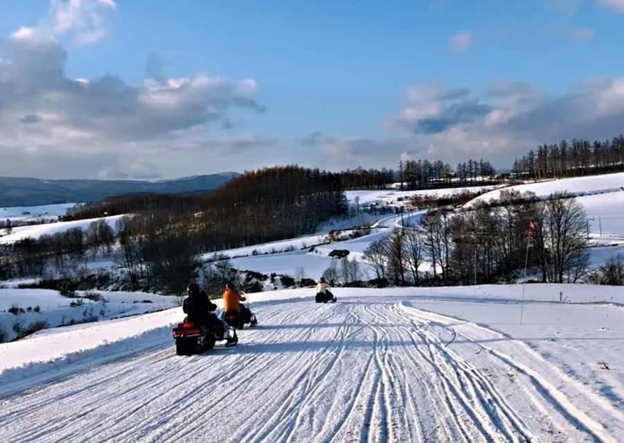 Sapporo: Furano Lavender & Biei Blue Pond Tour with Lunch - Weather, timing, and the busy season
