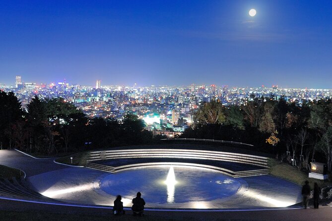 Sapporo Mt. Moiwa & Asahiyama Memorial Park Night View Trip - What the private taxi format adds