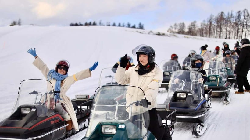 Sapporo Winter : Asahiyama Zoo (Penguin Fun & Snowmobile) - Why the penguin walk makes this day worth considering