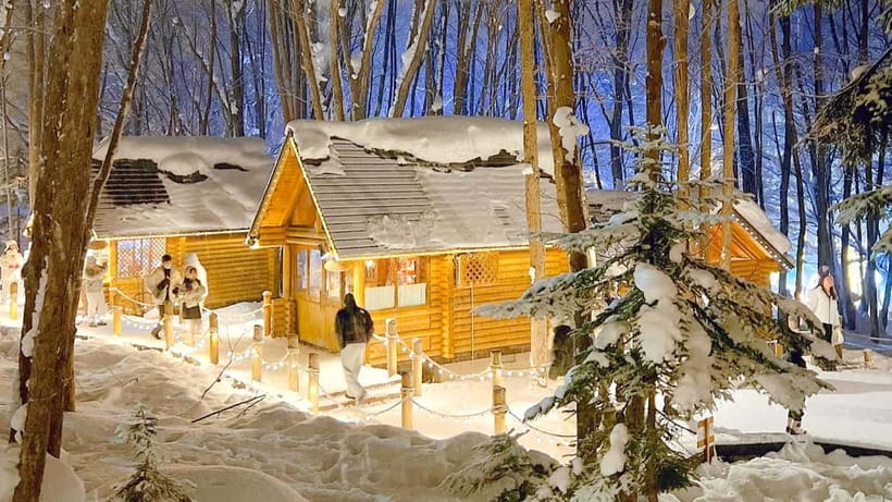 Sapporo Winter : Asahiyama Zoo (Penguin Fun & Snowmobile) - Shikisai-no-oka and the optional snowmobile ride