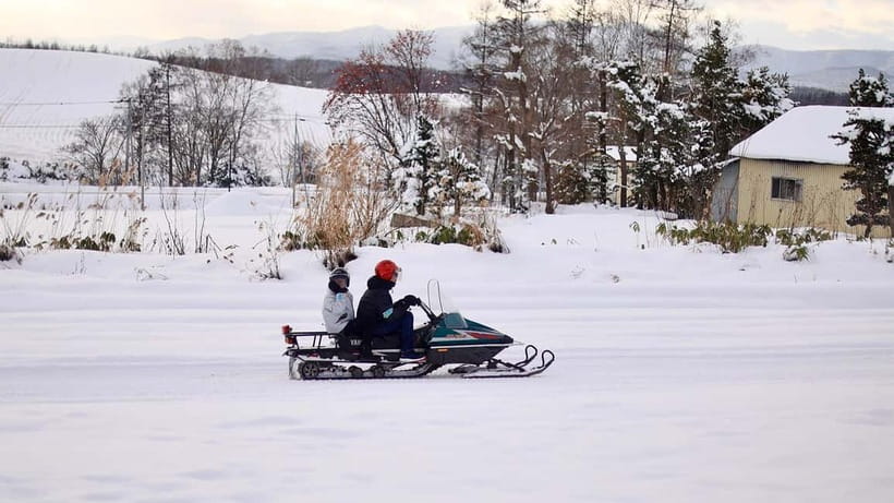 Sapporo Winter : Asahiyama Zoo (Penguin Fun & Snowmobile) - Guides, communication, and the small details that help