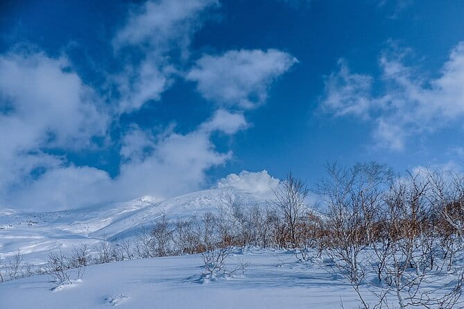 Snowshoe Adventures and Onsen Bliss Winter Escape in Furano - A small group makes the snowshoe walk better