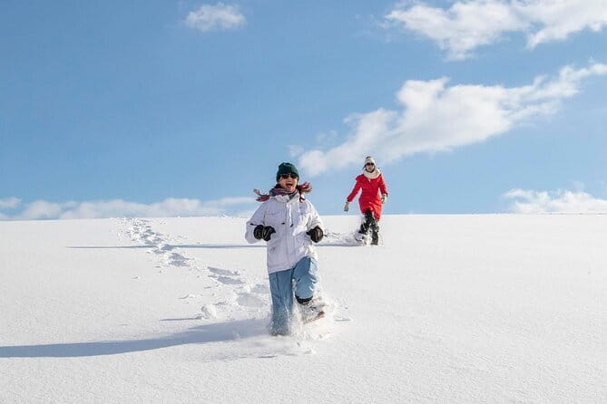 Snowshoe Adventures and Onsen Bliss Winter Escape in Furano - The morning route: powder, trees, and animal tracks