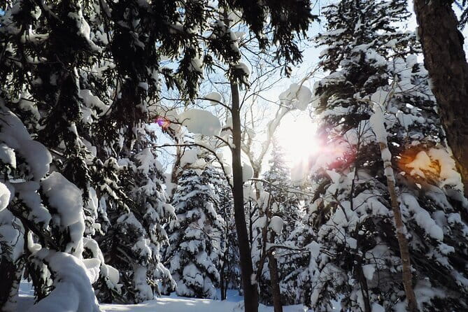 Snowshoe Adventures and Onsen Bliss Winter Escape in Furano - What happens during the pickup and drive