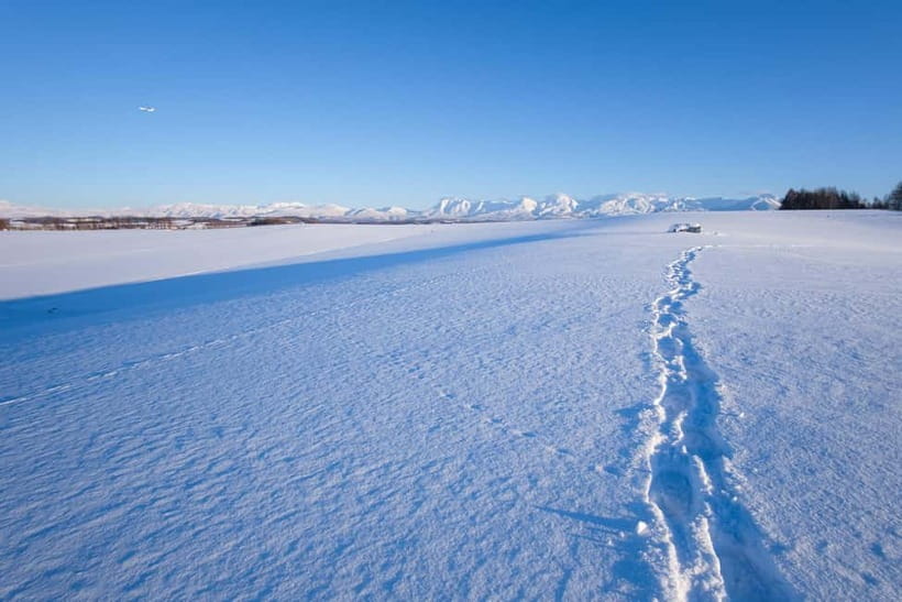 Snowshoeing on a Sparkling Biei Hill & Winter Cafe Time - A hill made for play, not just walking